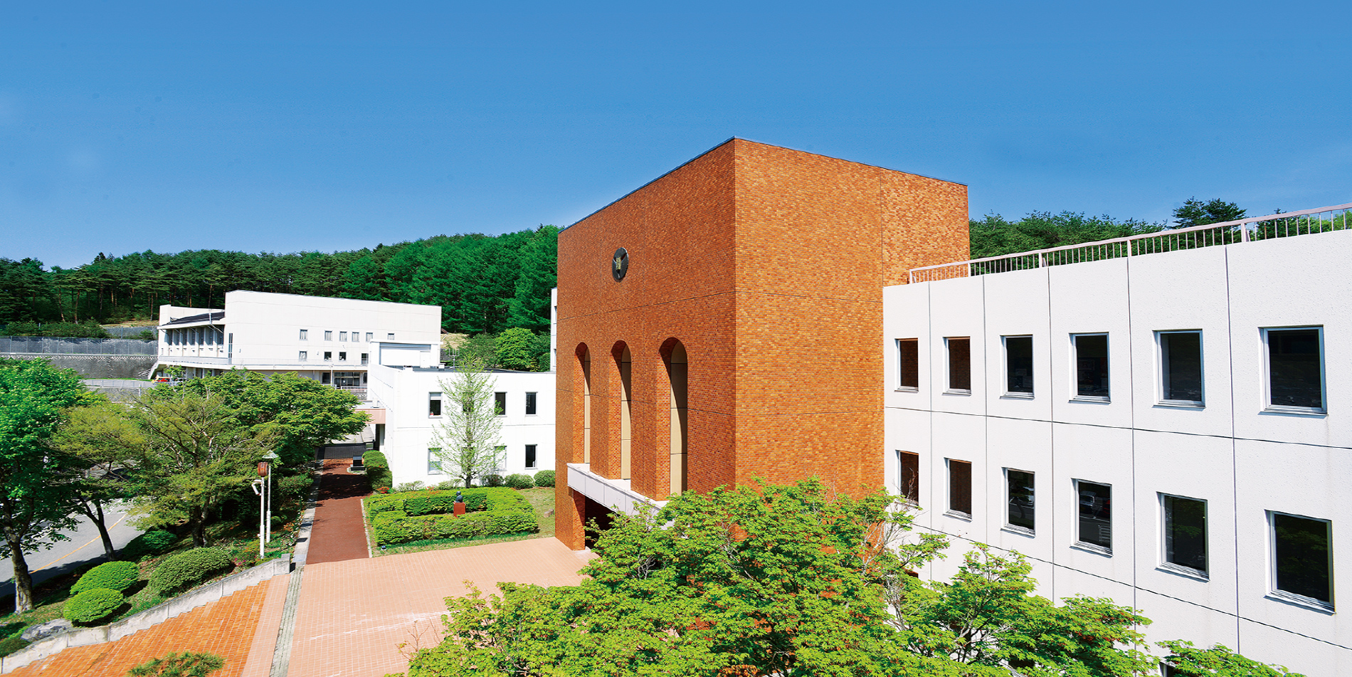 大学案内